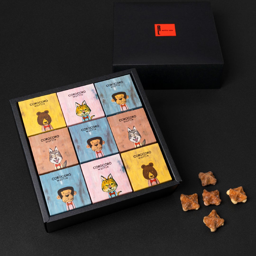 【送料込】コロコロキューブギフトセット（9個）