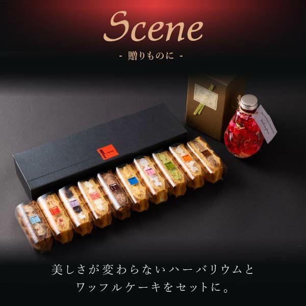 ハーバリウム＆ワッフルケーキ10種セット | 公式オンラインショップ R