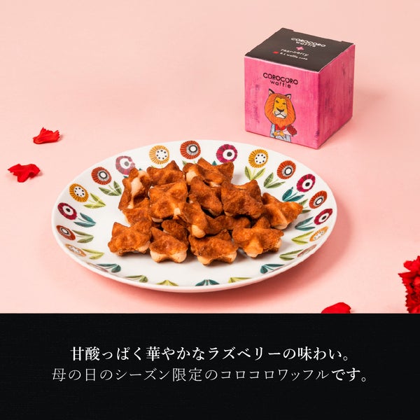 コロコロワッフル キューブ （ラズベリー） | 公式オンラインショップ