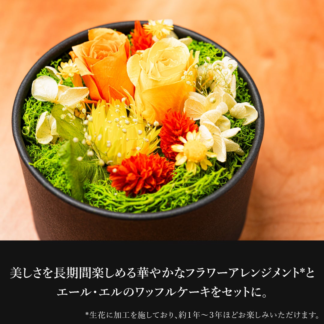 フラワードーム付き ワッフルケーキ10種セット | 公式オンライン